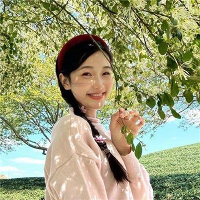 爱情森林